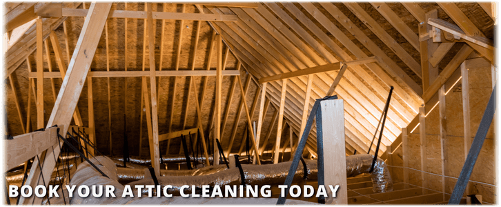 Attic Cleaning Philadelphia PA